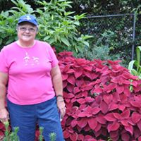 Susan Mcclain Photo 29