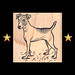 Russell Stamps Photo 9