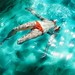 Sarah Harvey Photo 14