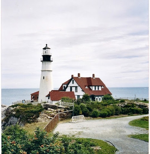Julia Nagy Photo 14