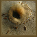 Martha Redden Photo 2