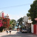 Carmen Cole Photo 21