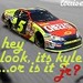 Dale Busch Photo 20