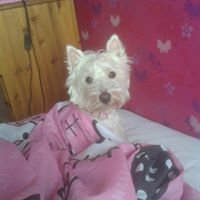 Maxine Priddy Photo 6