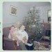 Susan Barry Photo 10