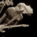 Steven Wilkin Photo 4