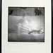 Kathy Lauderdale Photo 10