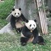 Heather Beebe Photo 15