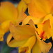 Judy Smith Photo 35
