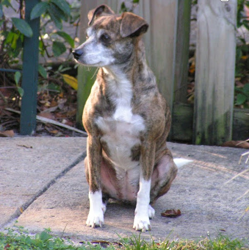 Kathleen Brock Photo 1