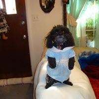 Sandi Rodriguez Photo 15