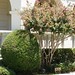 Margaret Moore Photo 48