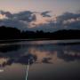 Brad Robison Photo 26