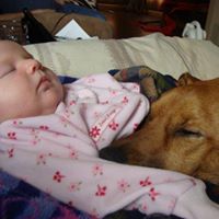Tracey Haines Photo 9