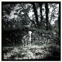 Harry Kerr Photo 32