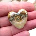 Julie Luster Photo 7
