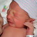 Joshua Baron Photo 14