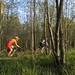 Mike Schaeffer Photo 6