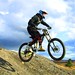 Andrew Poole Photo 20
