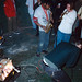 Stacy Mackey Photo 10