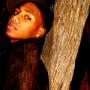 Chris Sheppard Photo 16