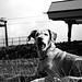 Thelma Gary Photo 8