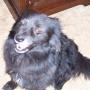 Donna Thurston Photo 24