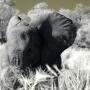 Helen Rudd Photo 25
