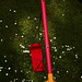 Daisy Bell Photo 17