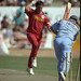 Alec Jarvis Photo 8
