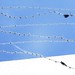 Kenneth Wire Photo 10