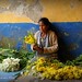 Rogelio Flores Photo 9