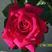 Rosa Avila Photo 20