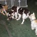 Jesse Wiley Photo 11