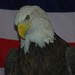 Jonathan Waterman Photo 9