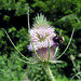 Virginia Fuller Photo 11