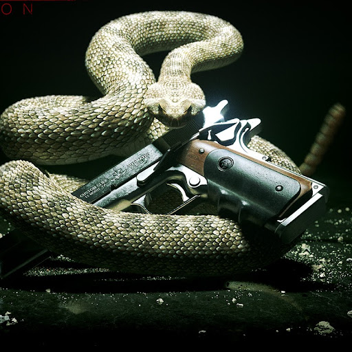 Jack Robson Photo 17