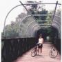 Terri Erickson Photo 26