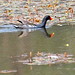 Robert Mathurin Photo 5