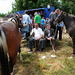 Pj Mccarthy Photo 6