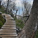 Linda Frey Photo 13