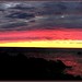 Dawn Neill Photo 11