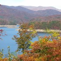 Anita Goins Photo 4