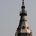 Nicholas Coles Photo 22