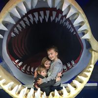 Melissa Karnes Photo 8