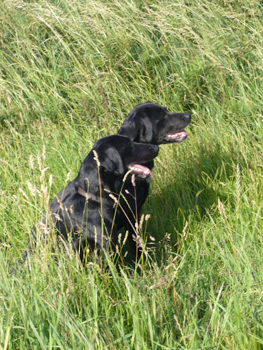 Alison Saunders Photo 8