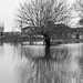 Teresa Flood Photo 17