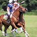 Kent Welsh Photo 14