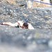 Daniel Walling Photo 22