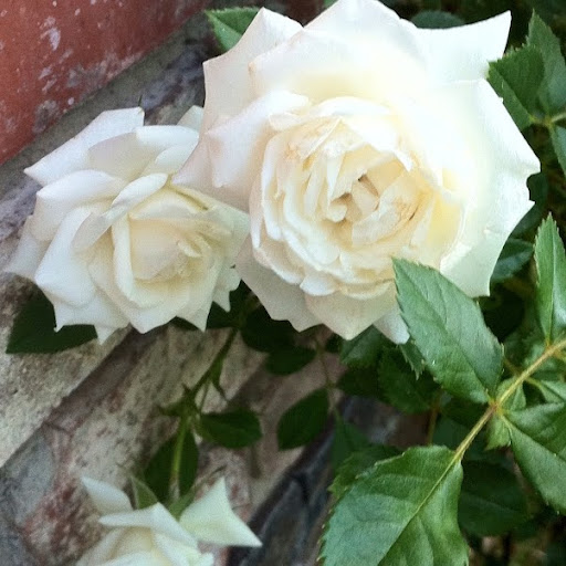 Catherine Roth Photo 30